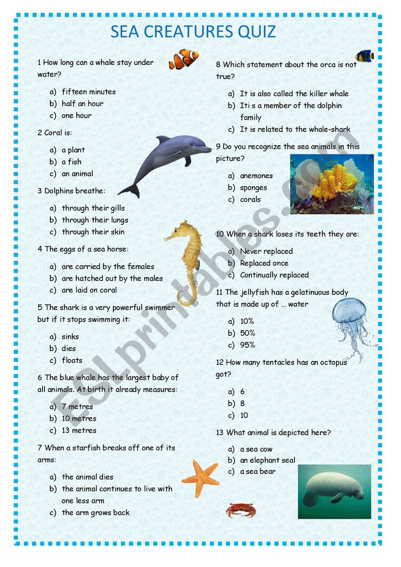 SEA CREATURES QUIZ worksheet