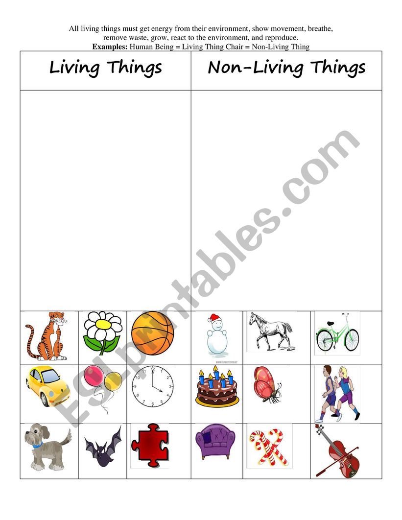 Living and Non-living Things Worksheet