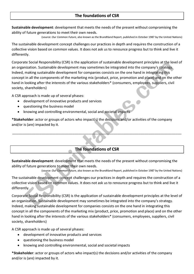 The foundations of CSR worksheet