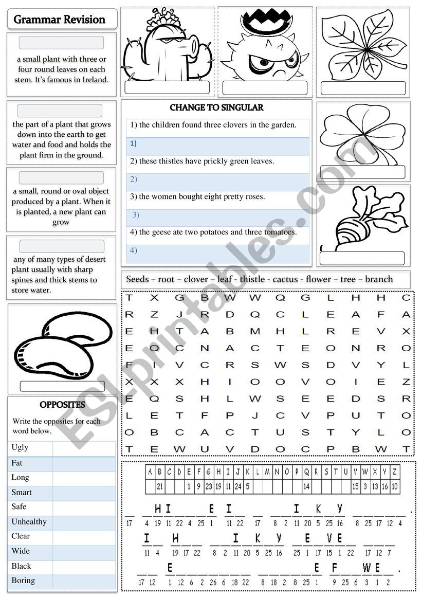 grammar revision worksheet