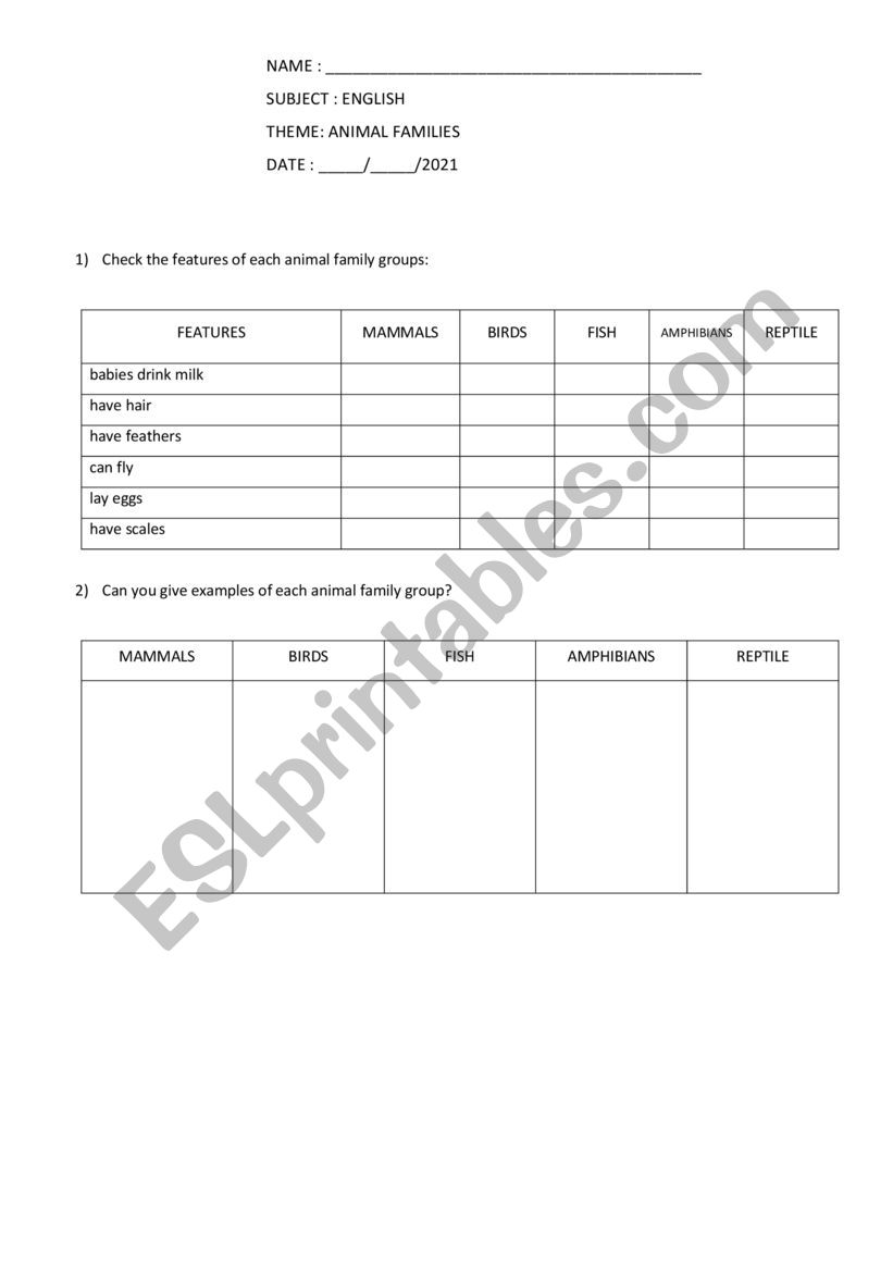 Animal groups worksheet