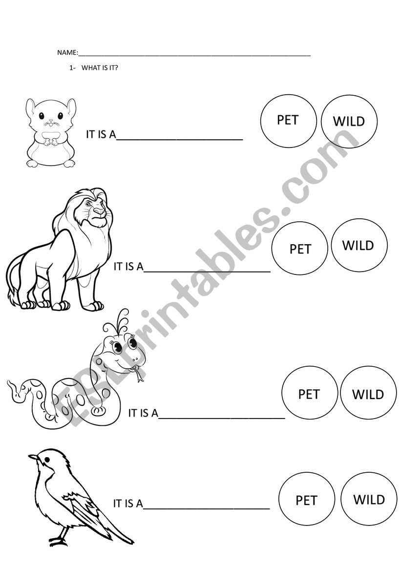 PET OR WILD? worksheet