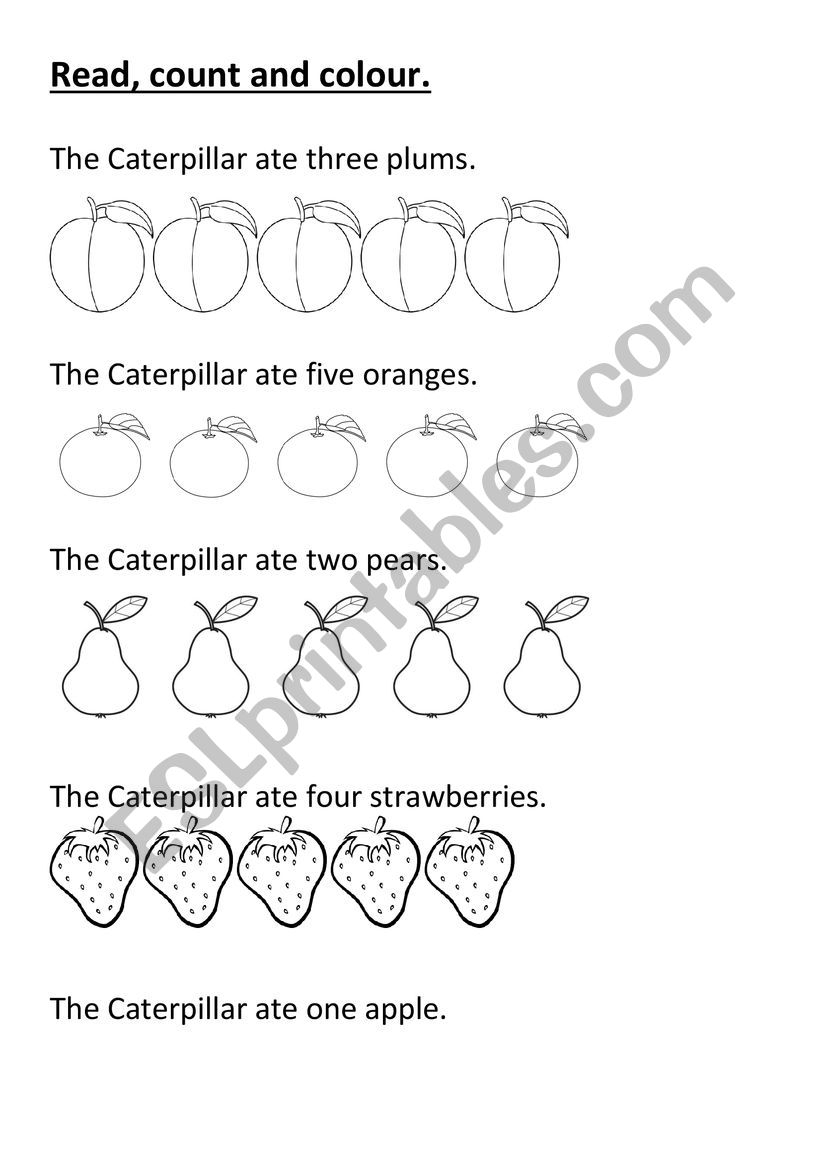 Read, count and colour worksheet