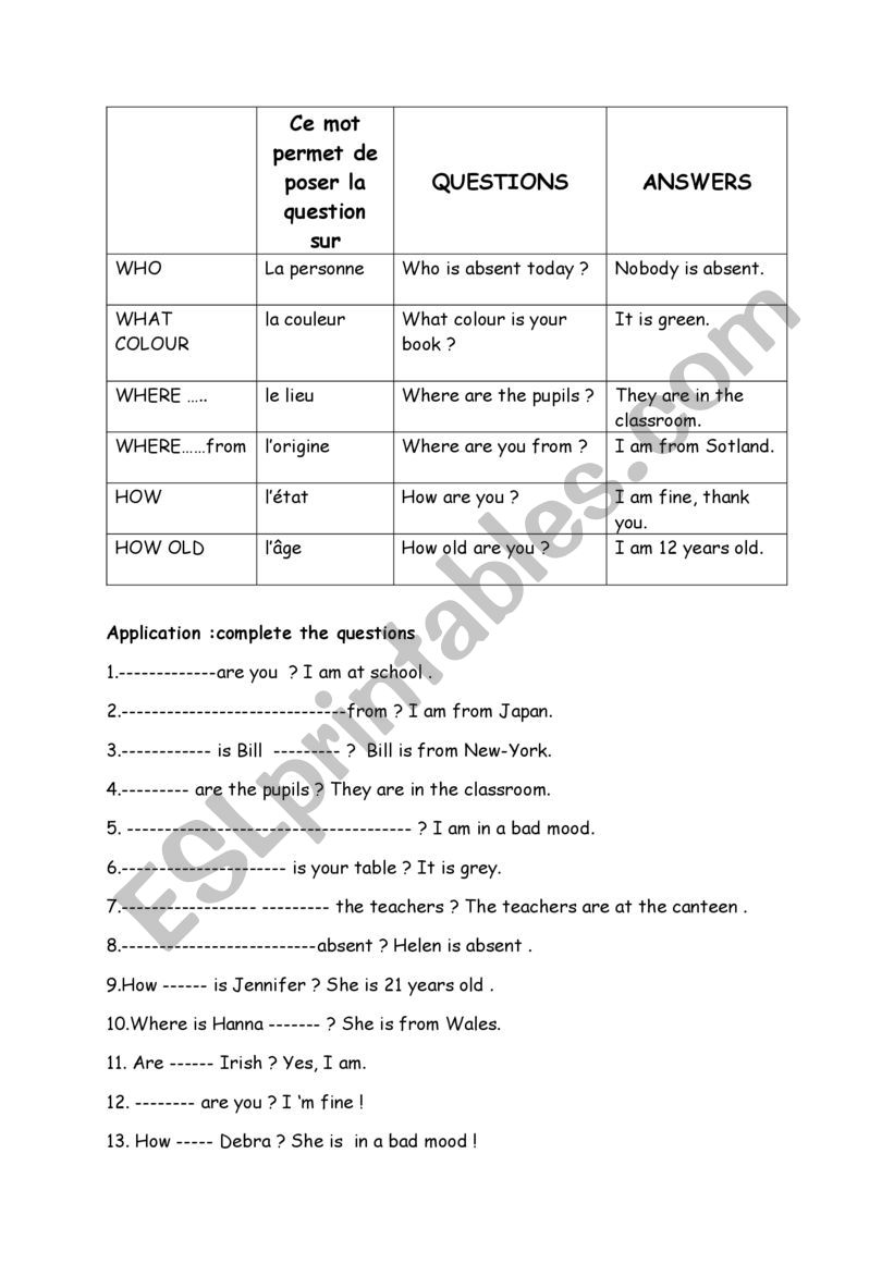 wh questions worksheet