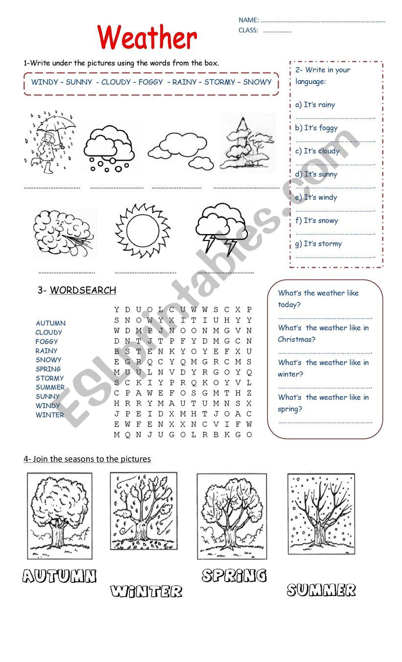 THE WEATHER worksheet