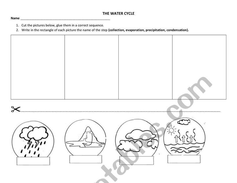 Water cycle  worksheet