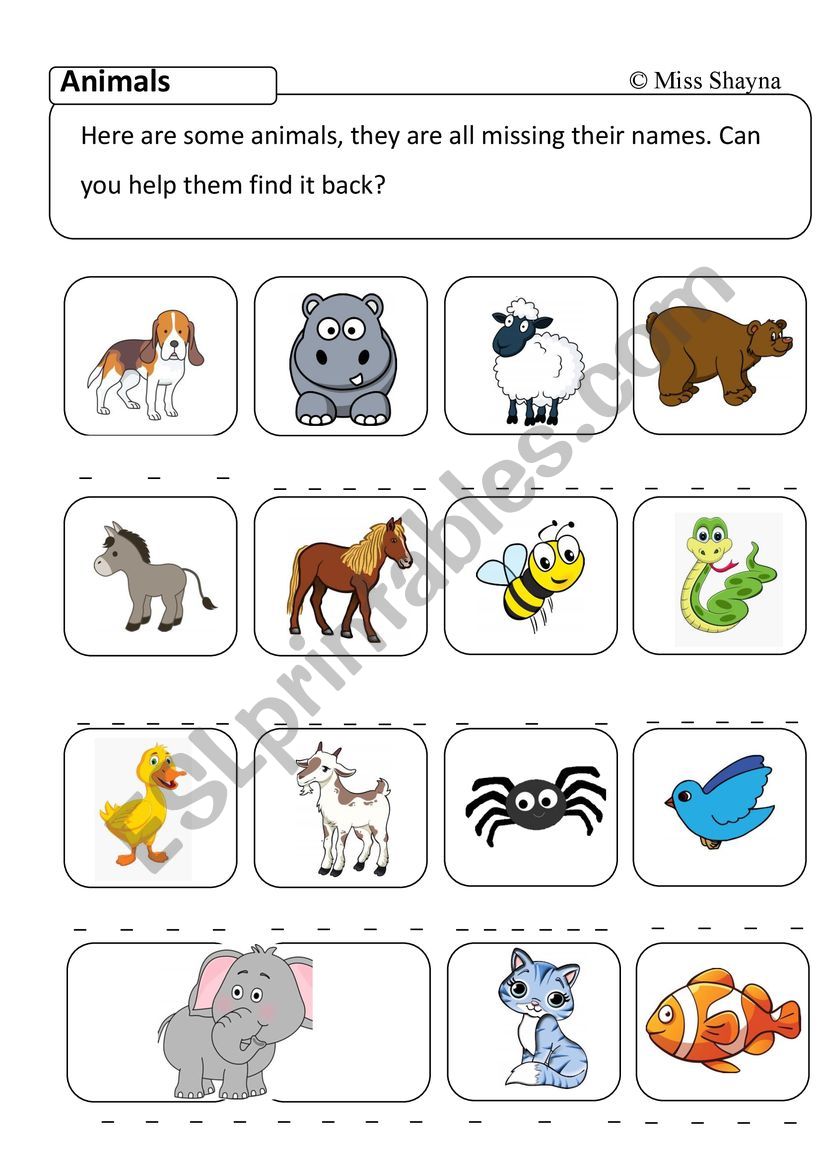 Animal Spelling  worksheet