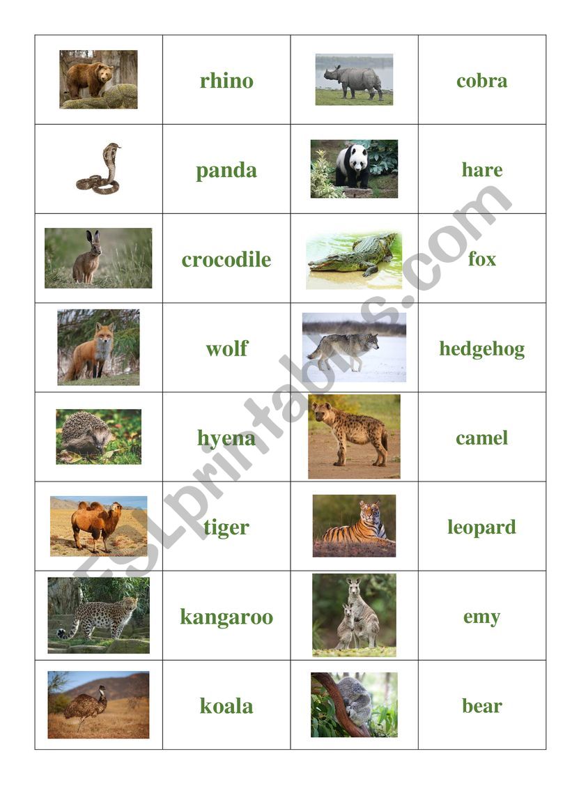 Wild animals (domino) worksheet