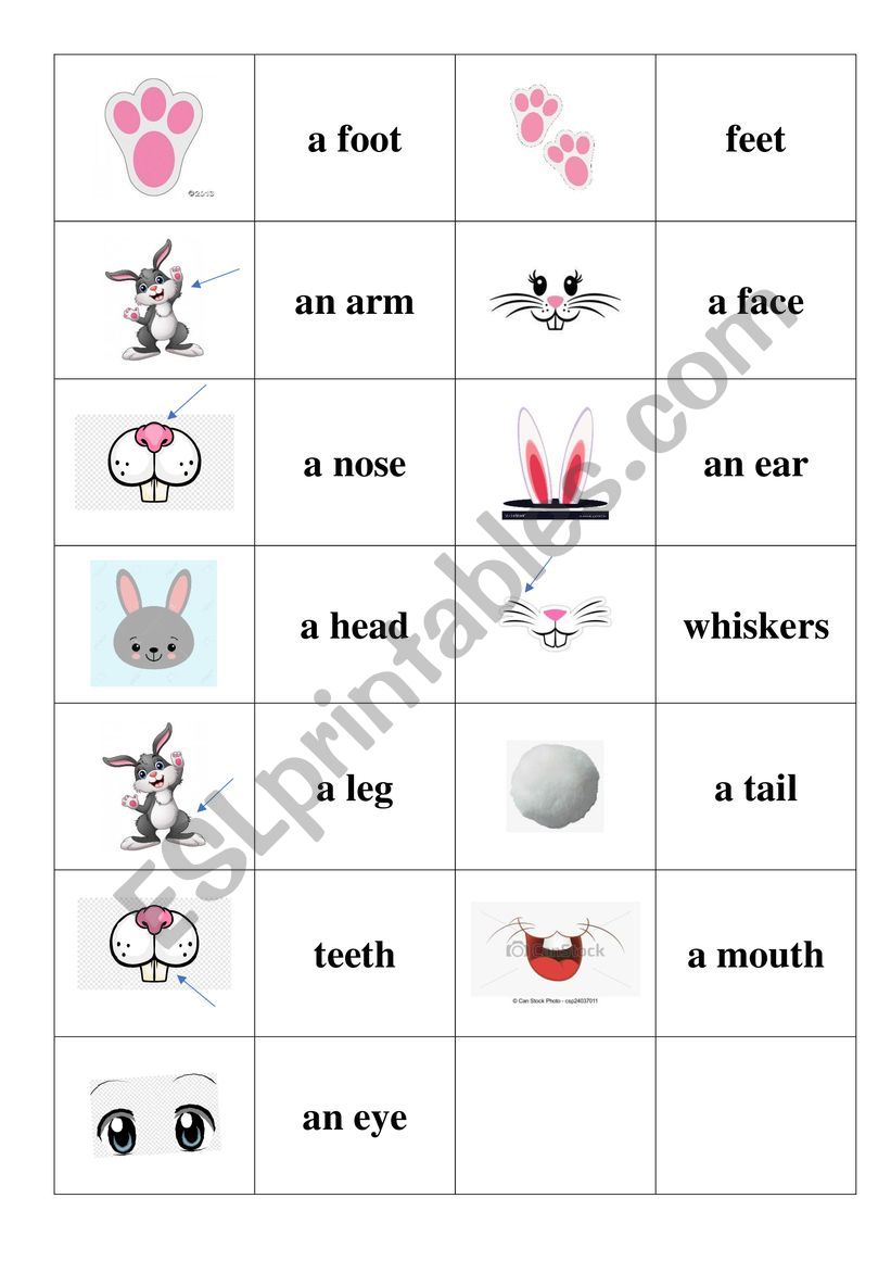 Body parts (animals) worksheet