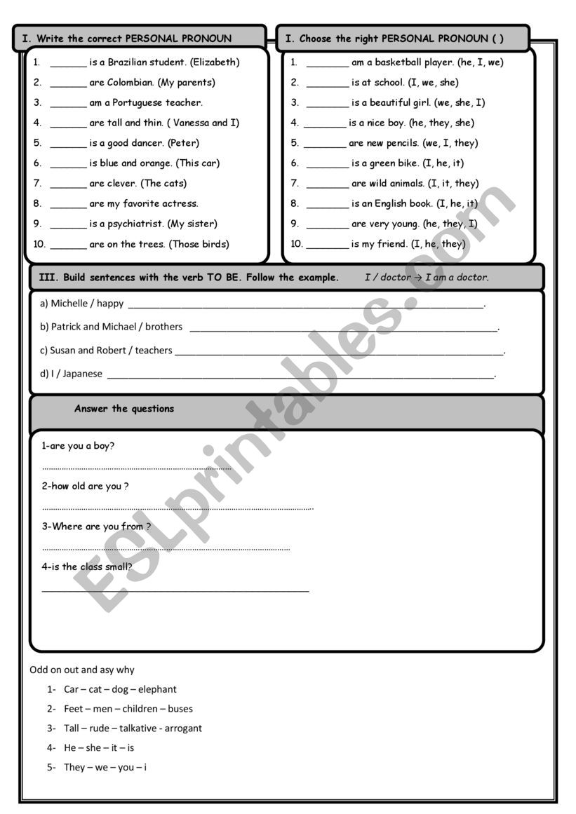 end of term test worksheet