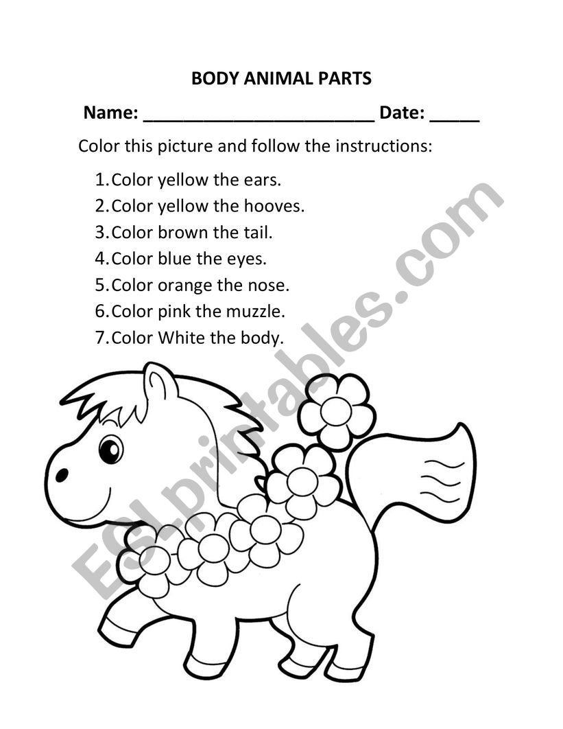 Animal Body parts worksheet