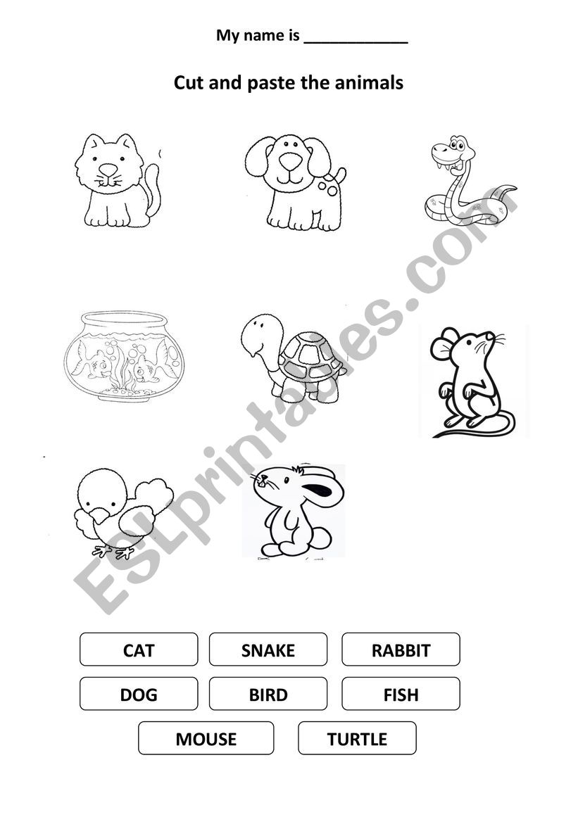 PETS worksheet