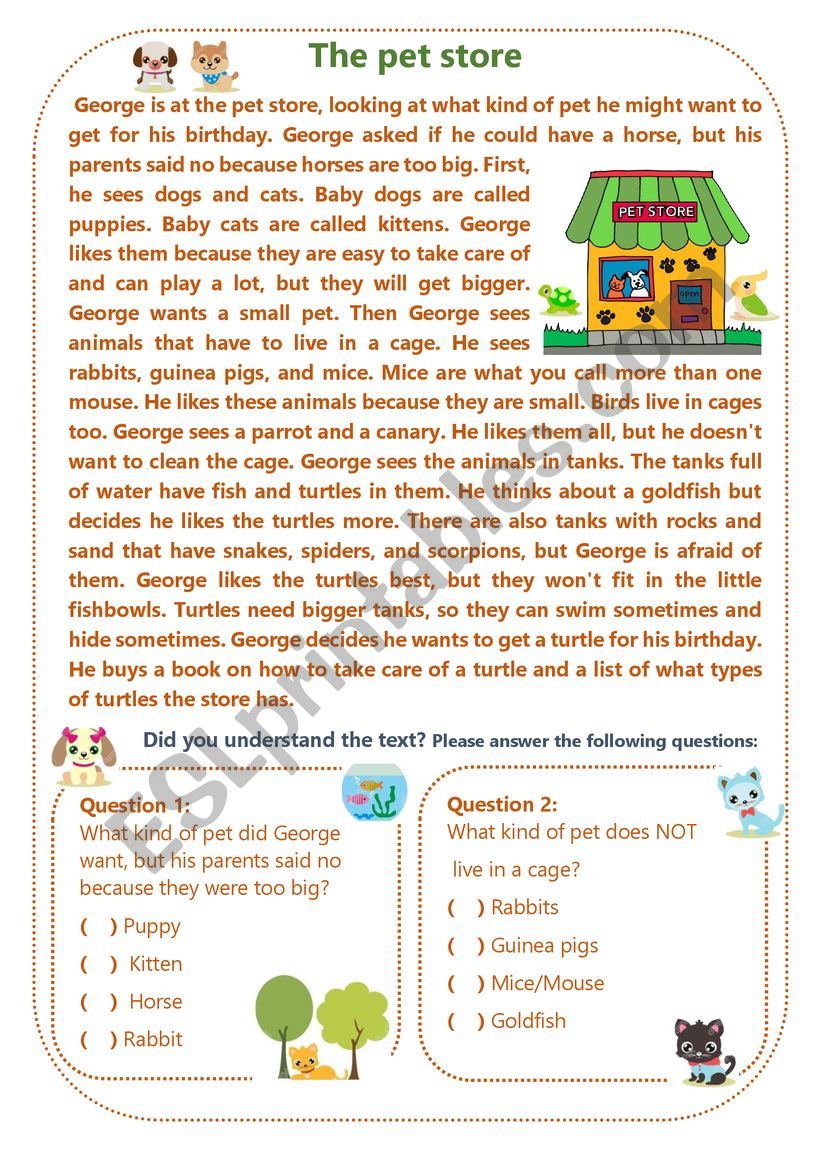 Reading: The Pet Store  + Writing: do you have a Pet? Describe it...