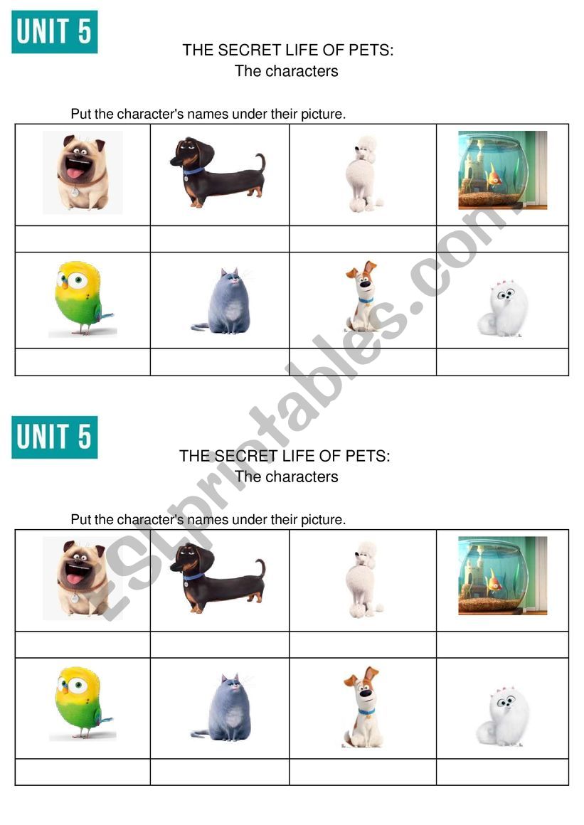 Movie activity - The secret life of pets worksheet