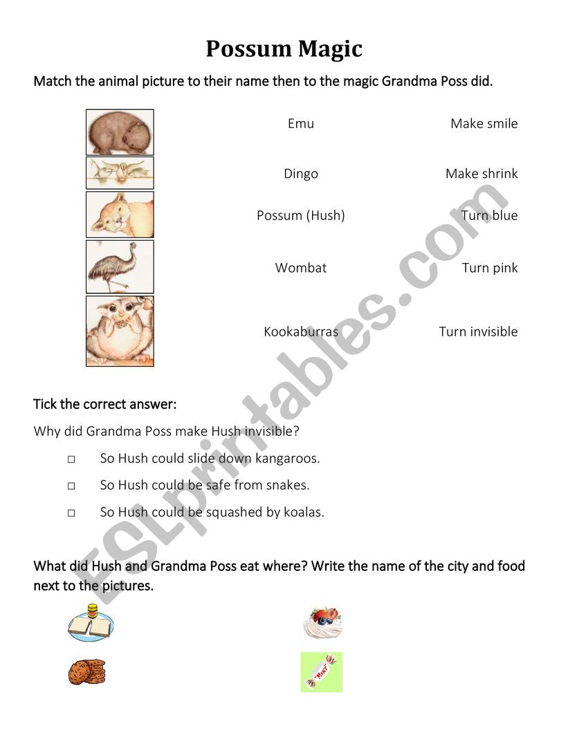 Possum Magic Comprehension Worksheet 