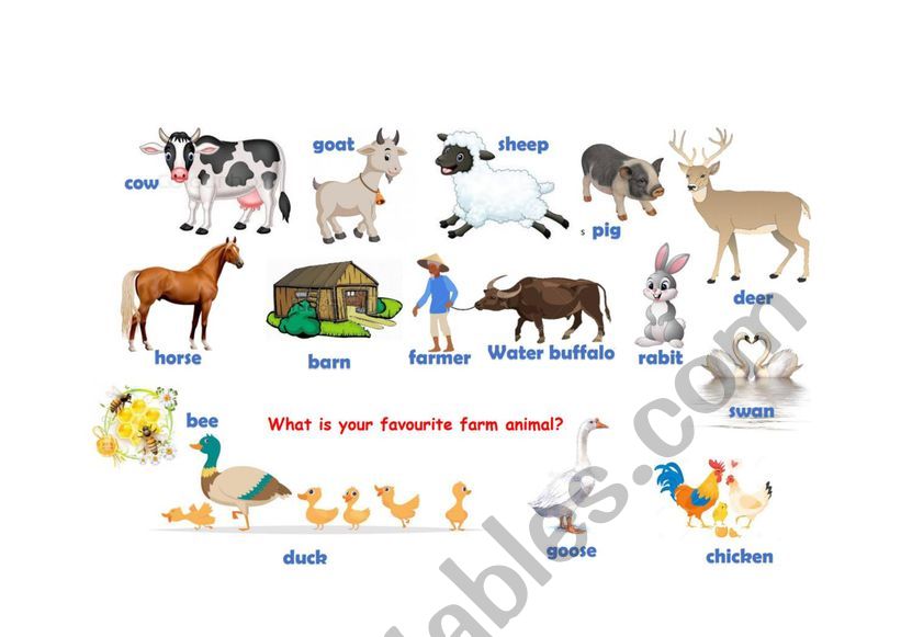 Farm animal vocabulary with picture