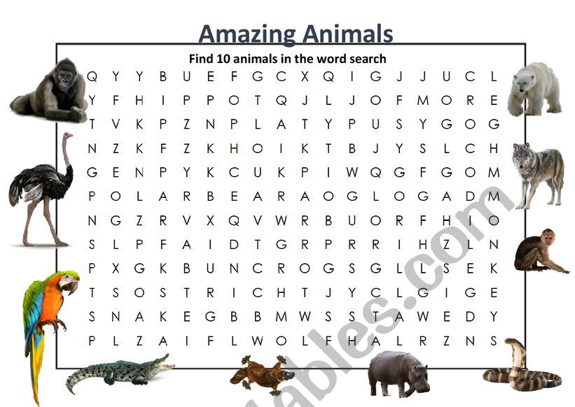 Amazing Animals worksheet