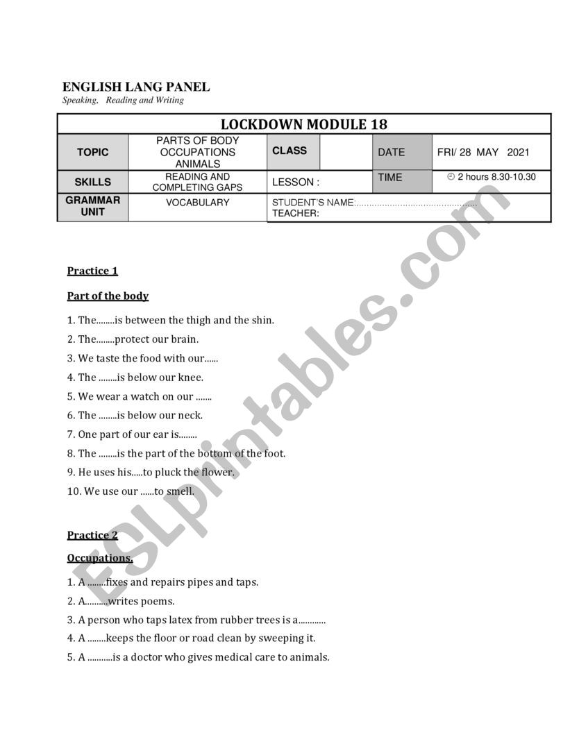 BASIC REVISION ON VOCABULARY  worksheet