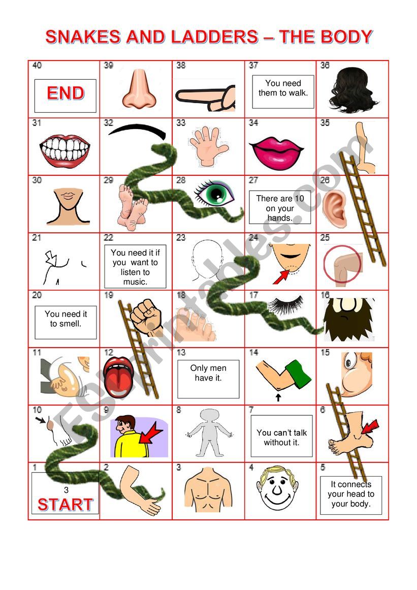 Board game - Body worksheet