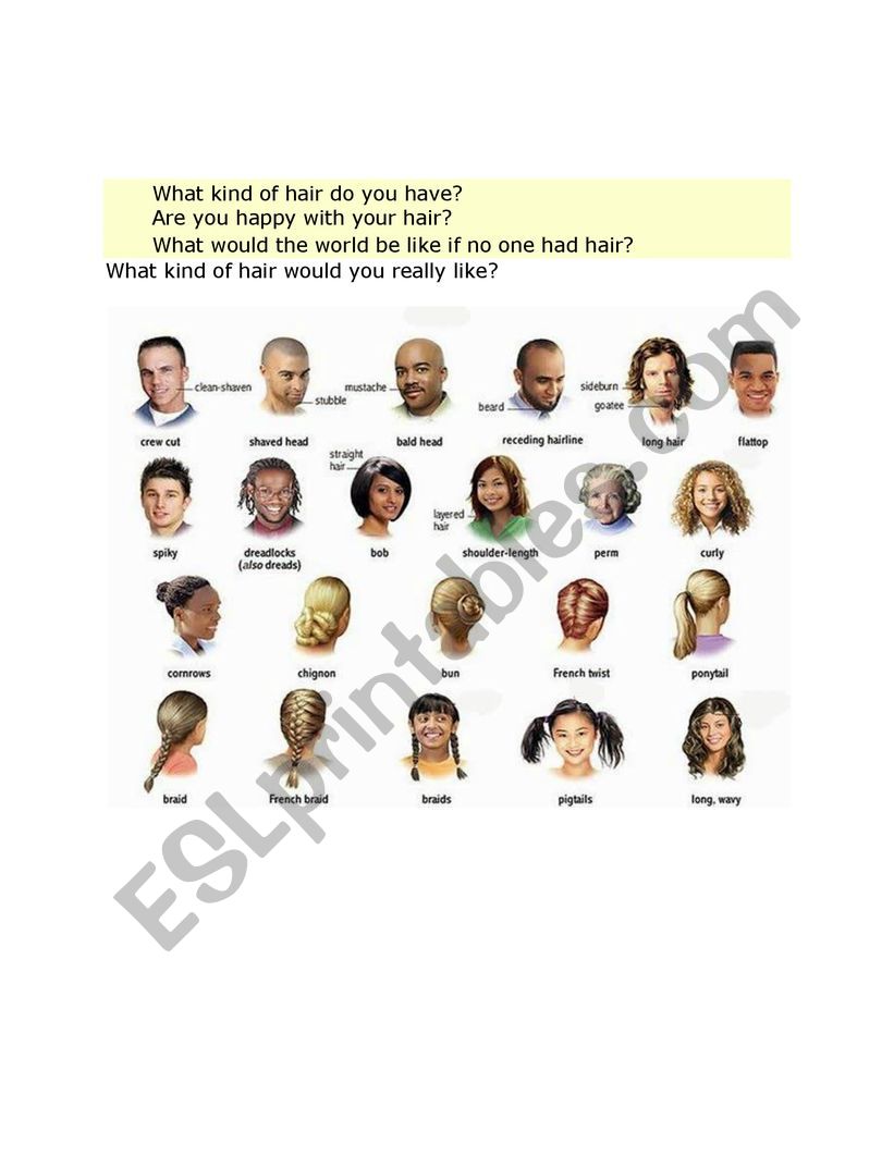Hair style and Cuts worksheet