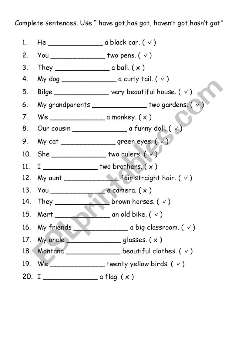 Have got / Has got worksheet