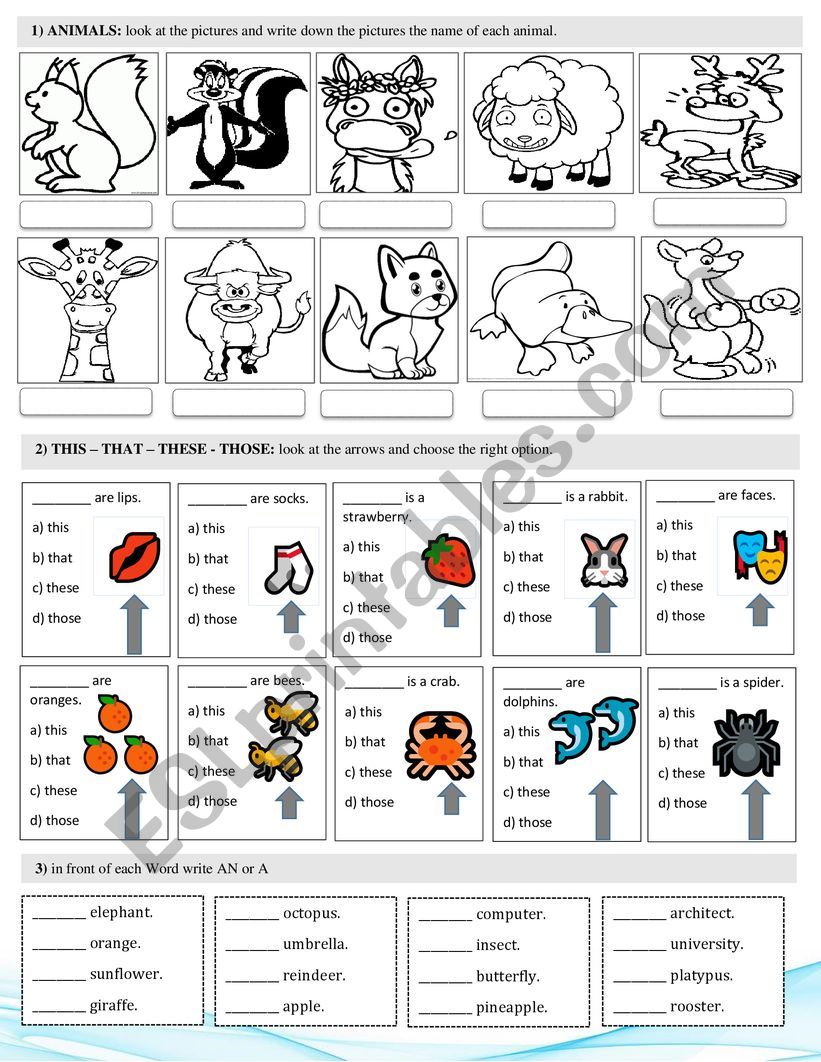 animals and desmostrative adjectives 