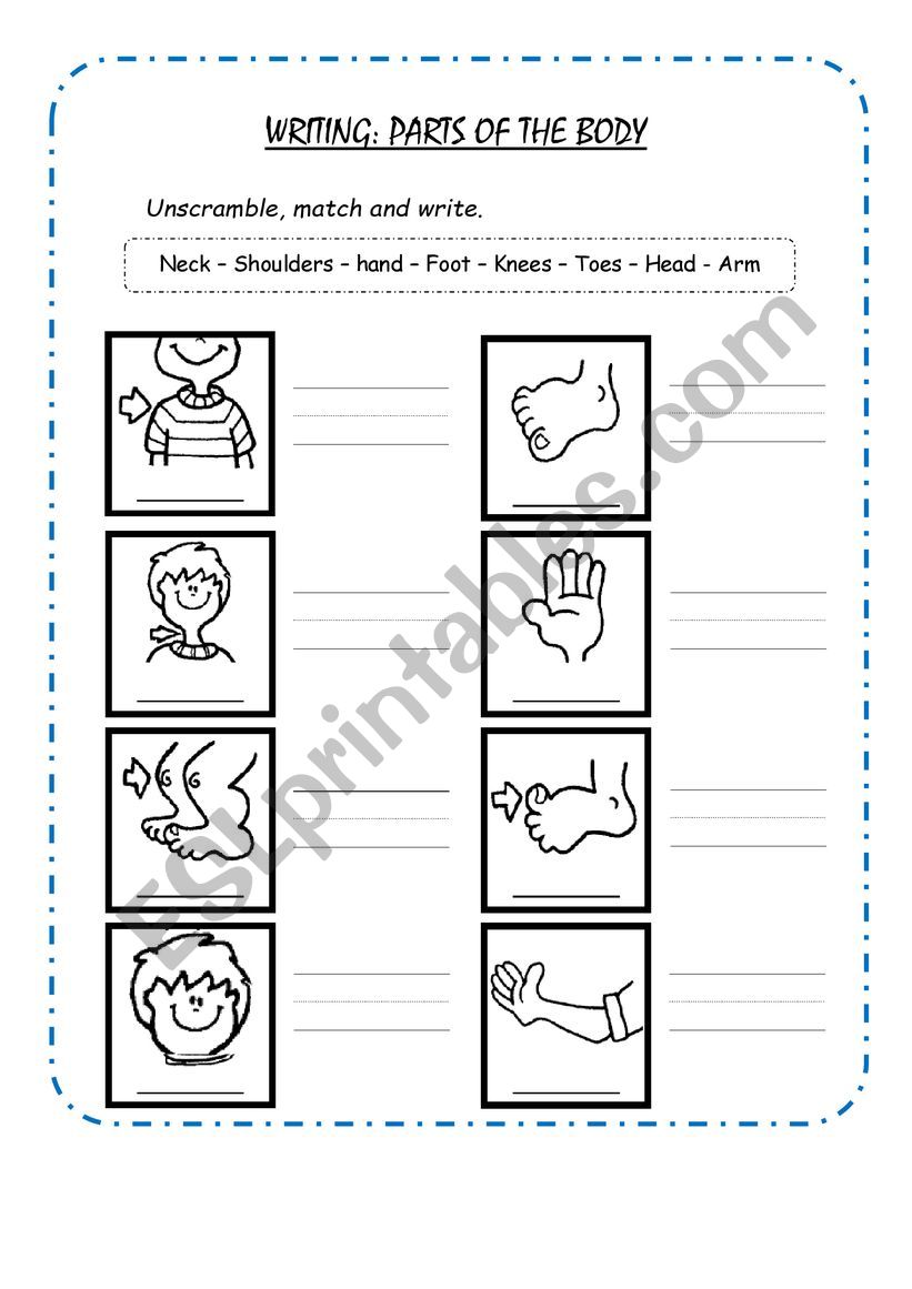 PARTS OF THE BODY worksheet