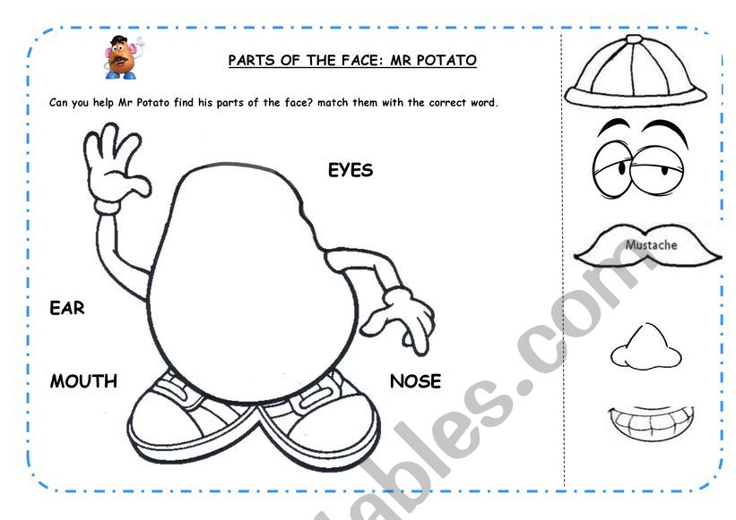 MR POTATO FACE PARTS worksheet