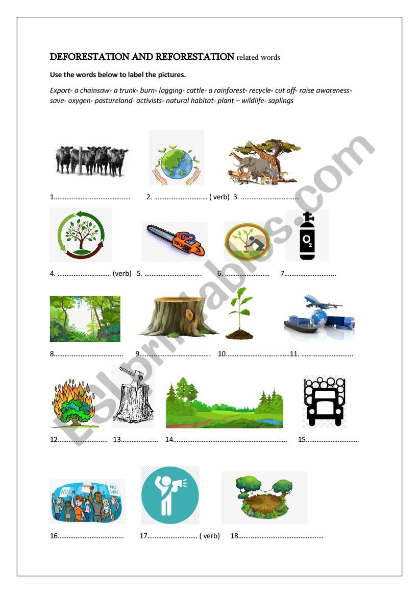 deforestation and reforestation related words