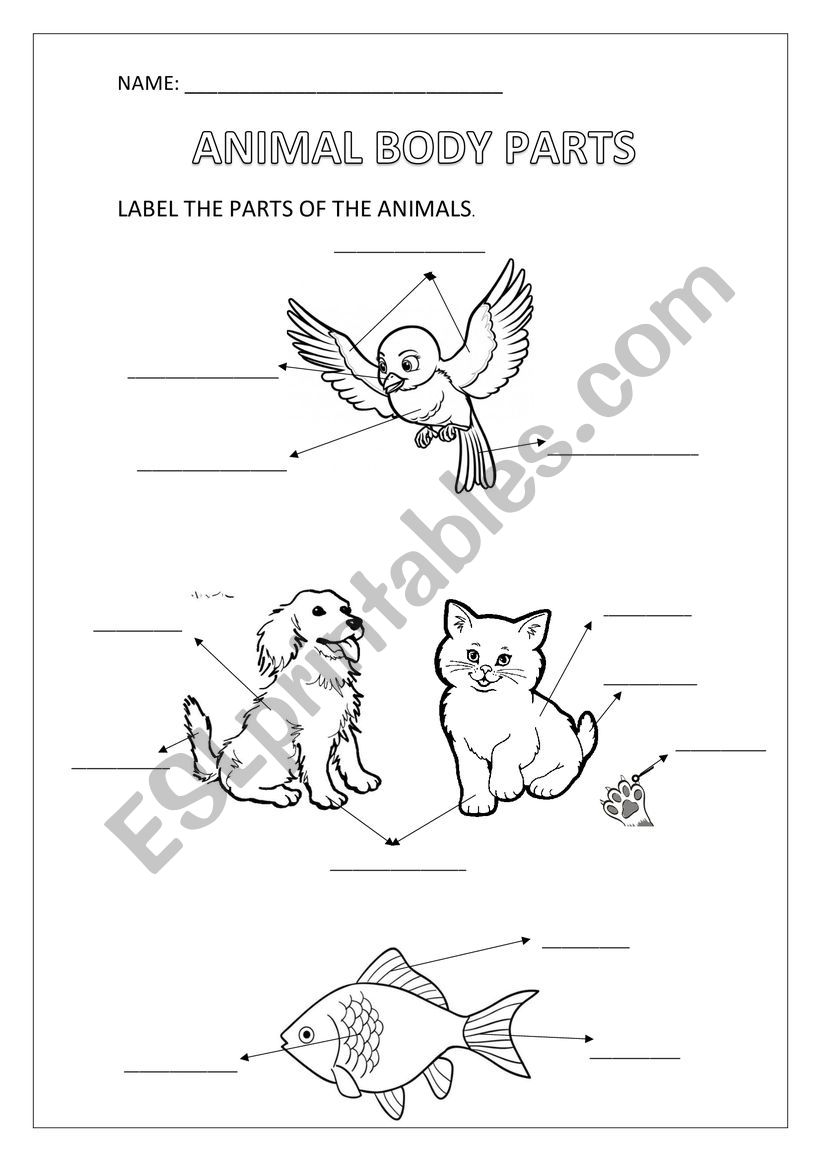 ANIMALS BODY PARTS worksheet