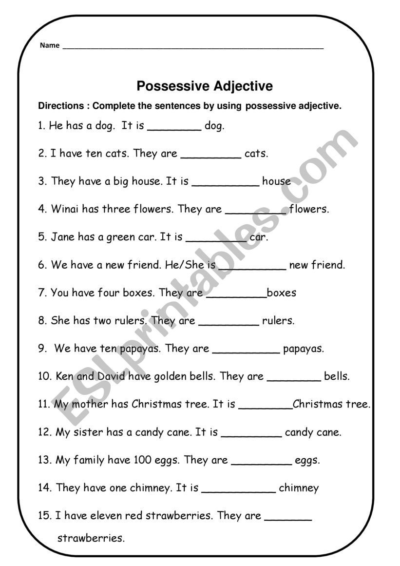 Possessive Adjective worksheet