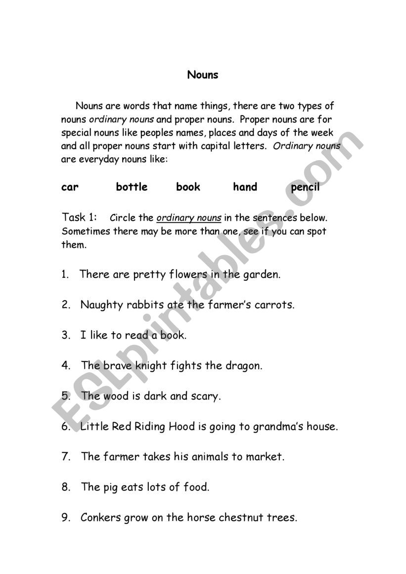 NOUNS worksheet