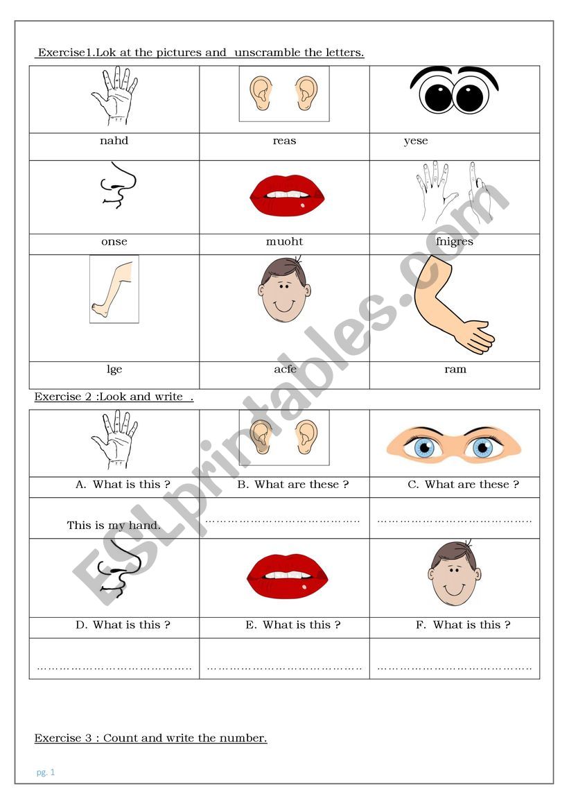 part of body worksheet