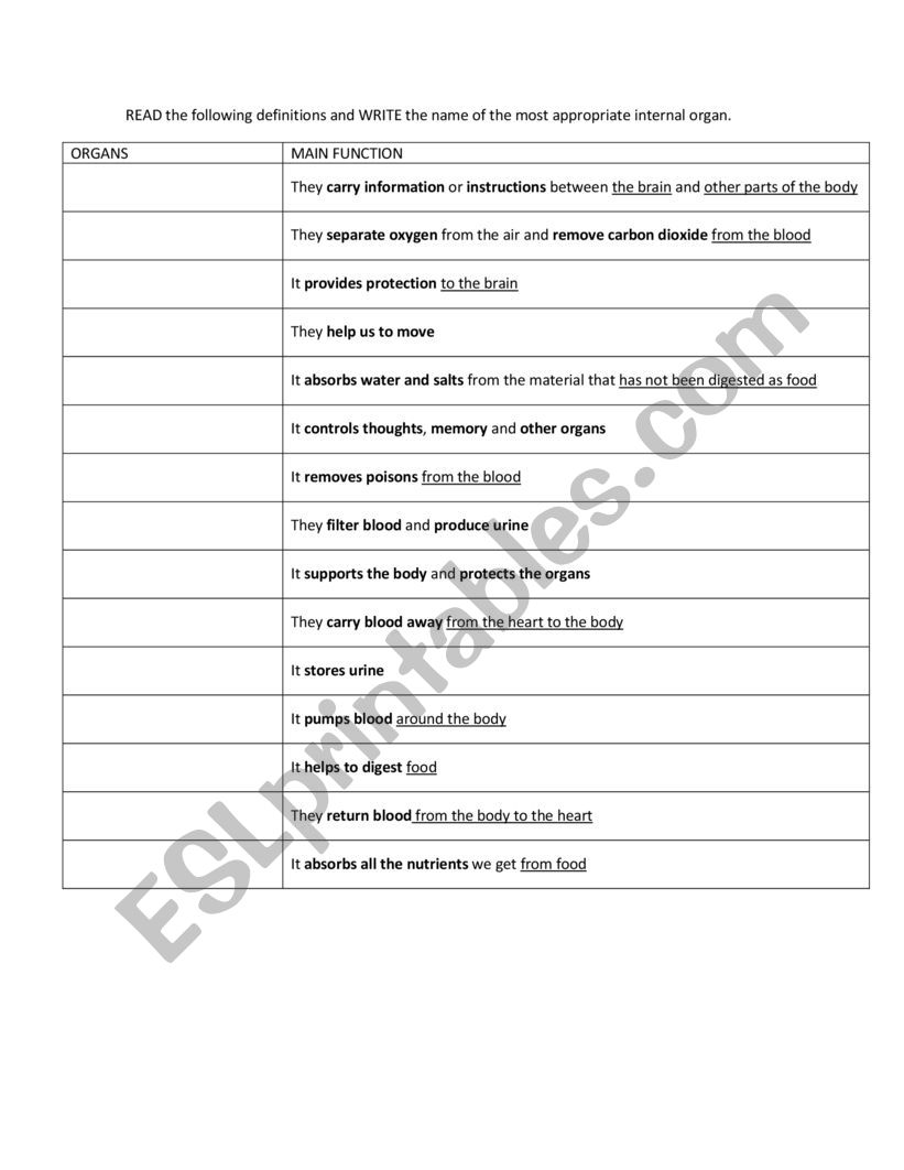 Internal organs worksheet