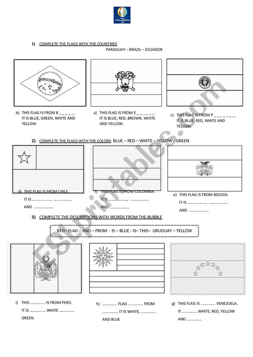 South American Football Cup worksheet