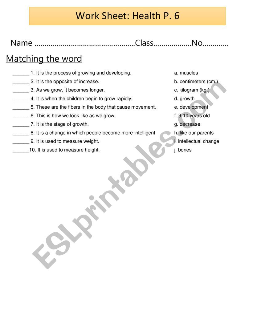 Health Education  worksheet