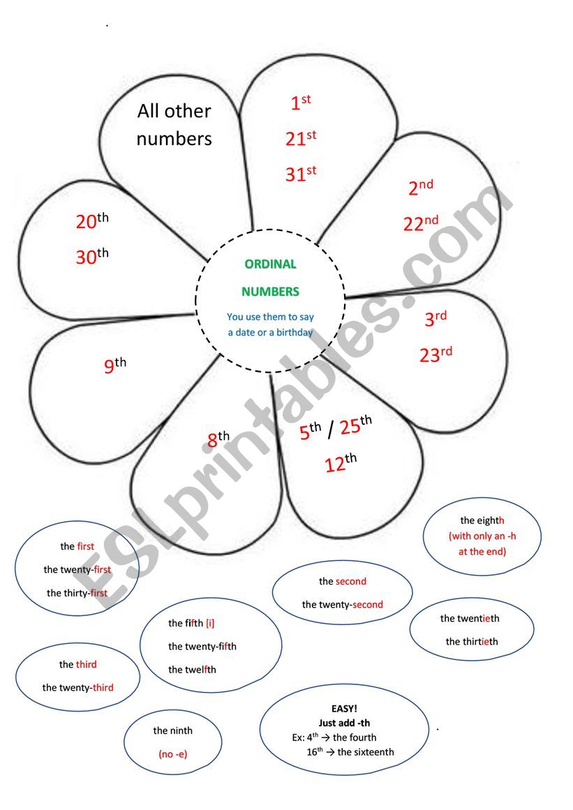 ordinal numbers - interactive sheet for the copybook