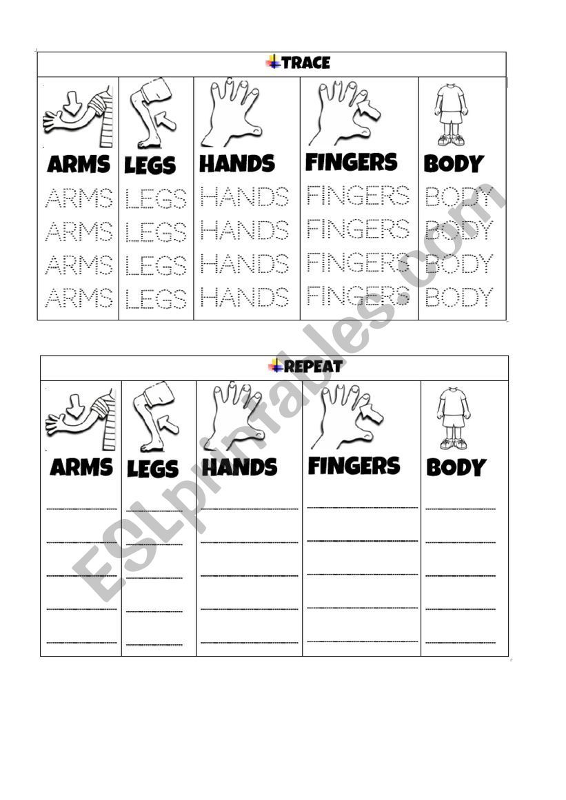 BODY PARTS worksheet