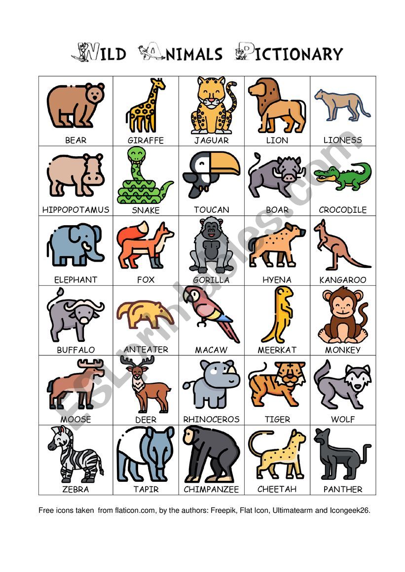 Wild Animals Pictionary worksheet