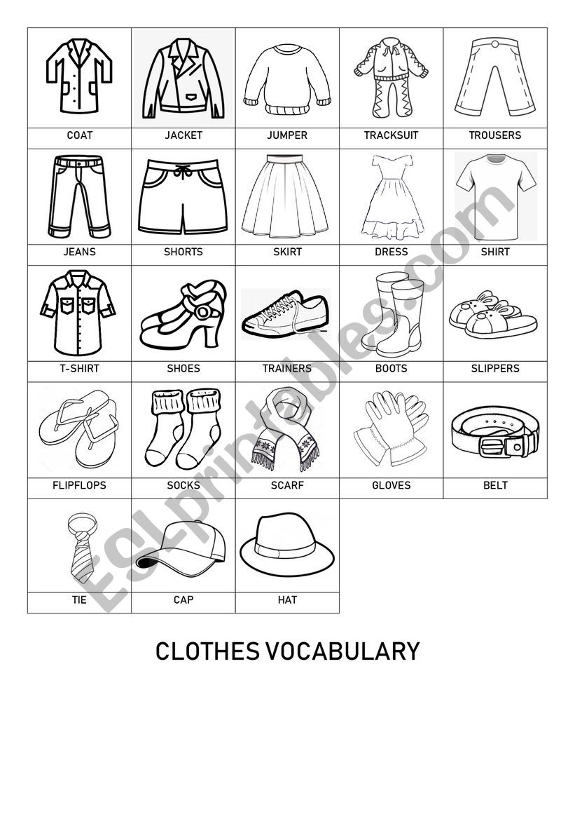 Clothes Vocabulary worksheet