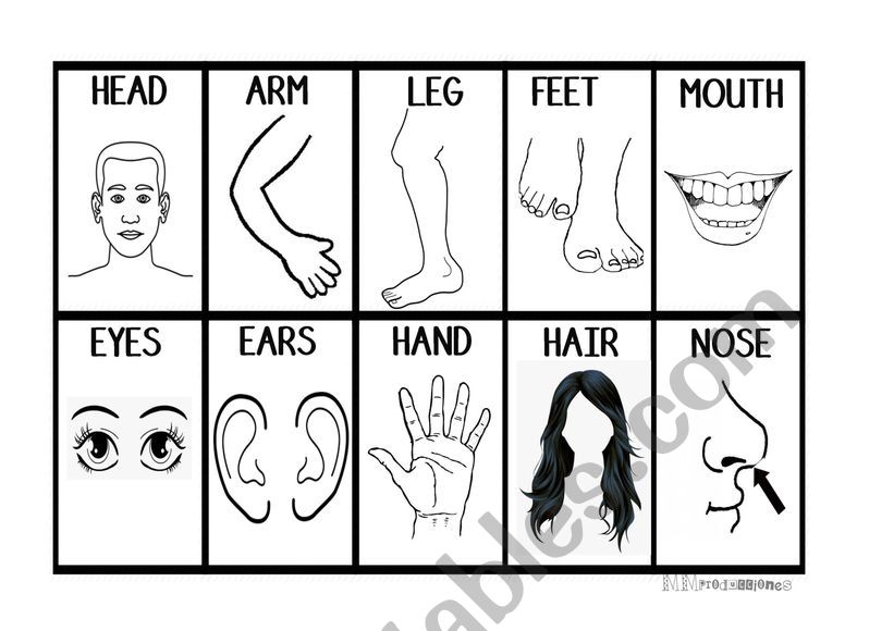 Body Parts Bingo worksheet