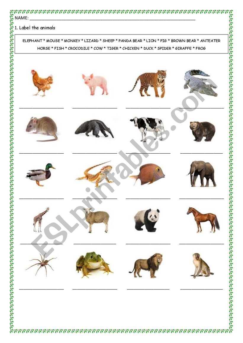 Wild and farm animals worksheet