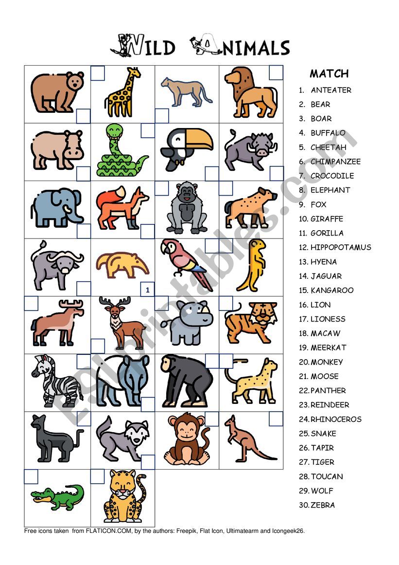 Wild Animals worksheet