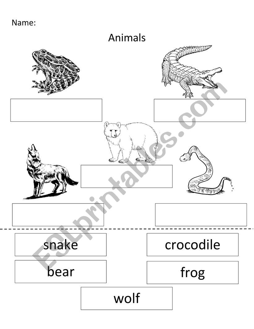 Wild Animals worksheet