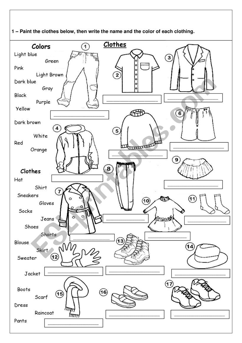 Clothes / Colors - Vocabulary worksheet