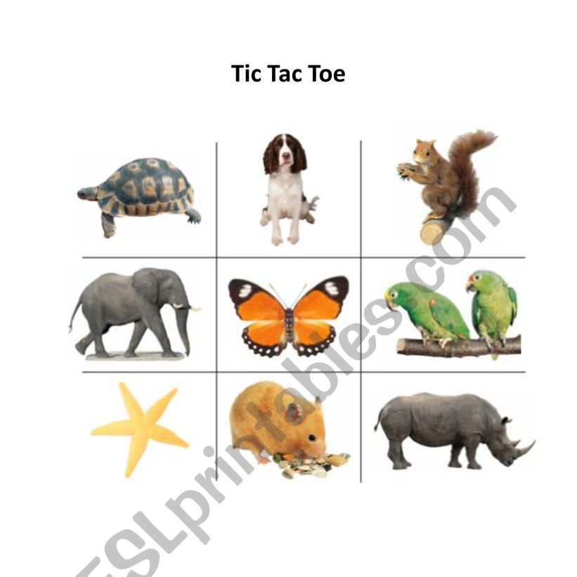 Animal tic tac toe worksheet