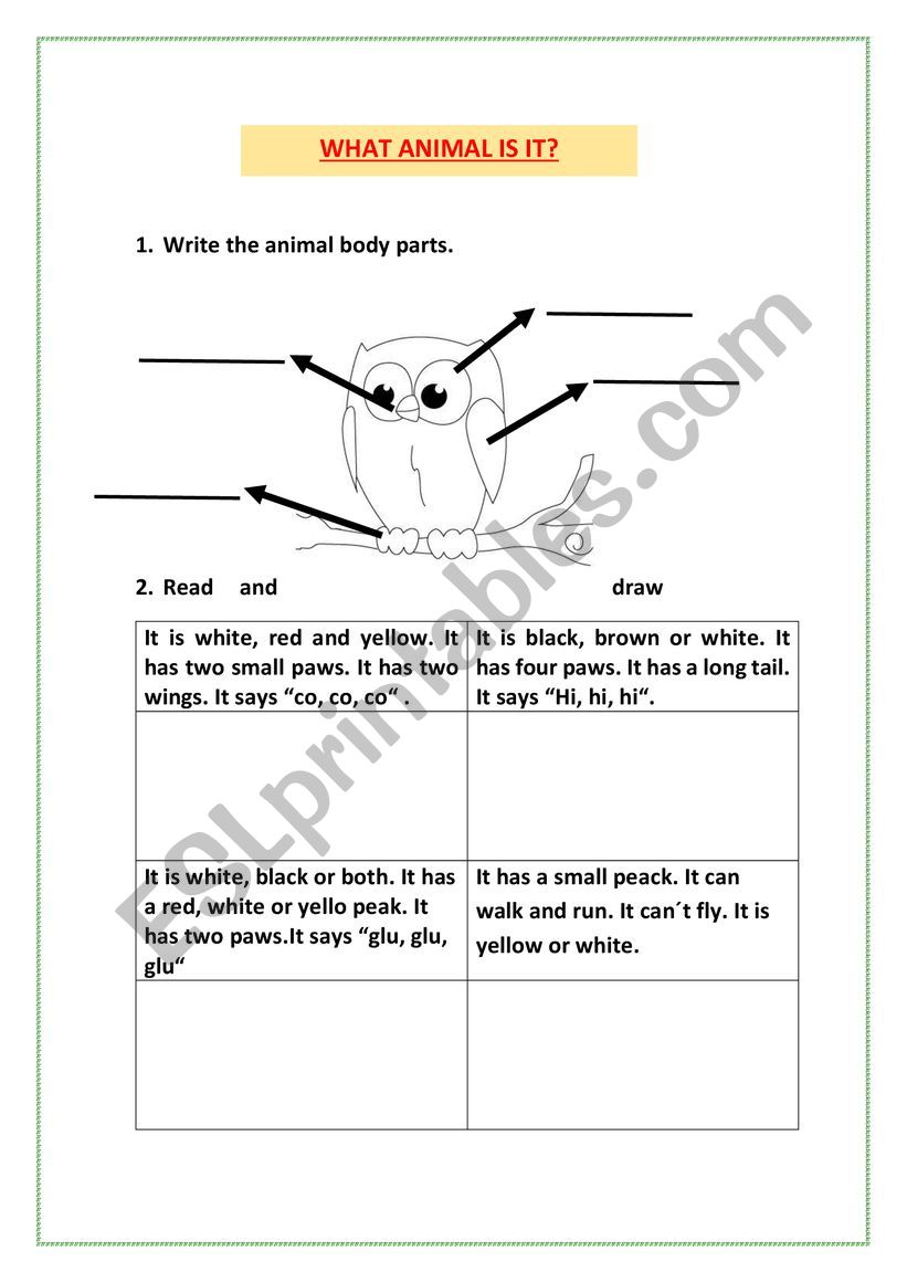 WHAT ANIMAL IS IT? worksheet