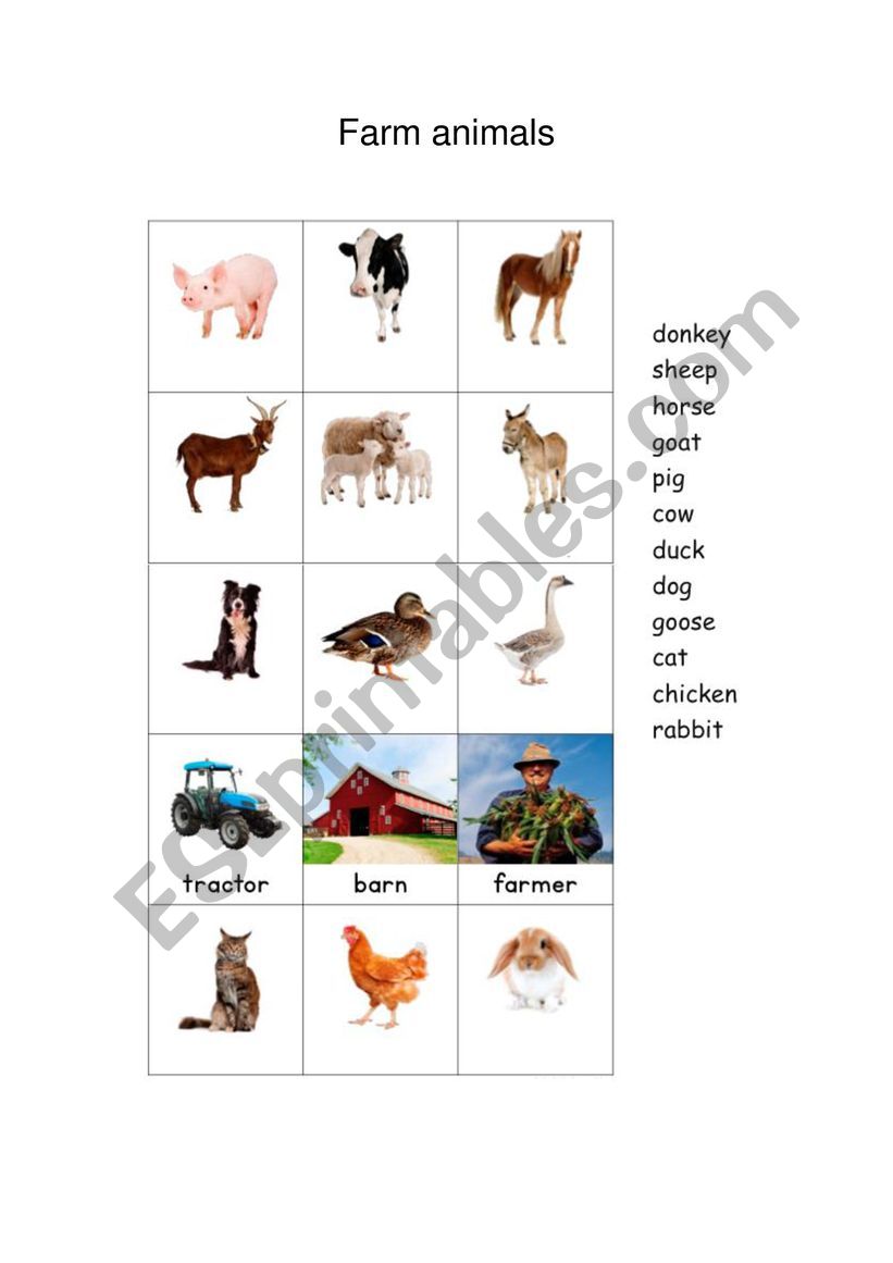 Farm animals worksheet