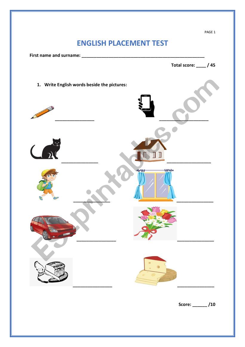 Beginner Placement Test worksheet