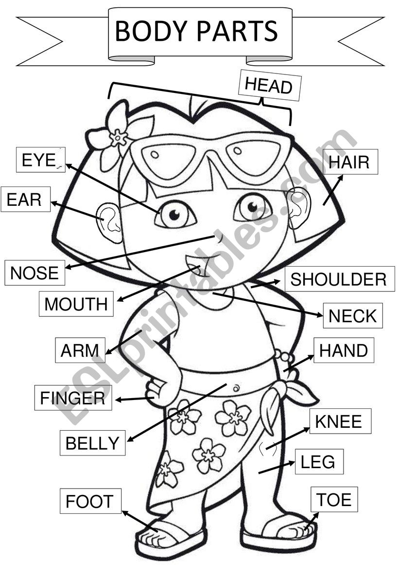 Human Body Parts worksheet